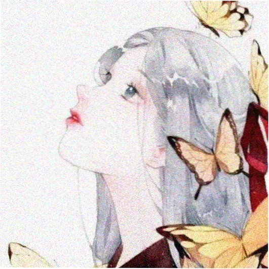 持证领队苏临的档案头像